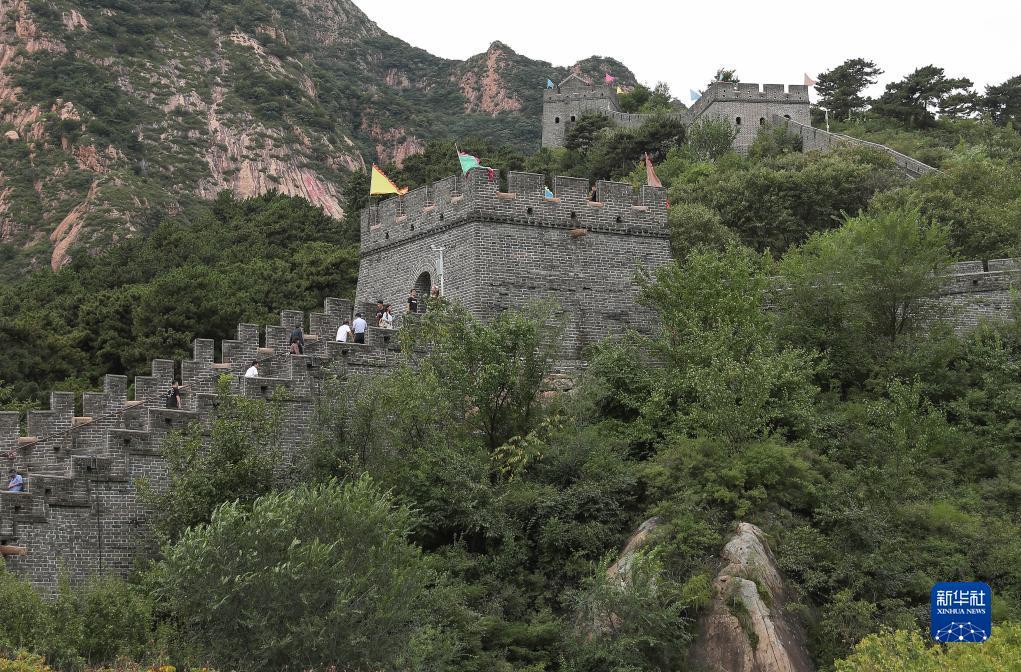 单机水果机无限币下载